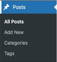 A screenshot of WordPress Posts in the backend